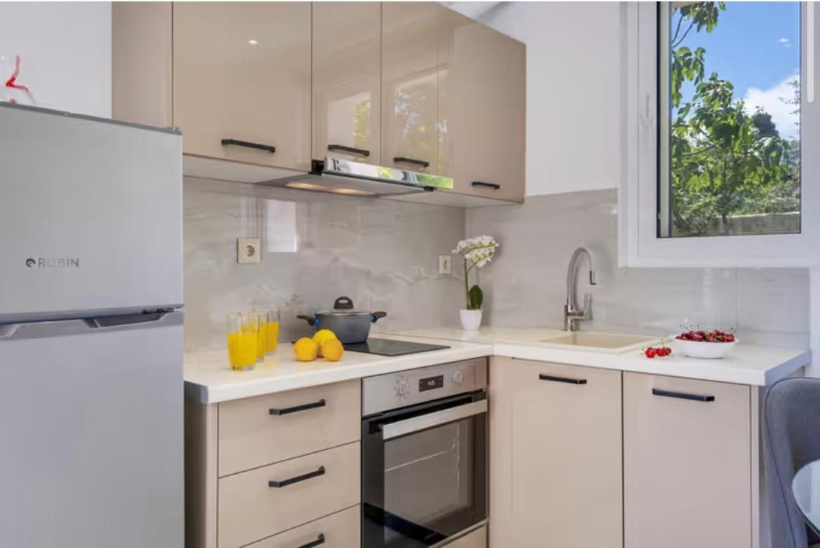 Apartmán Gkountis *